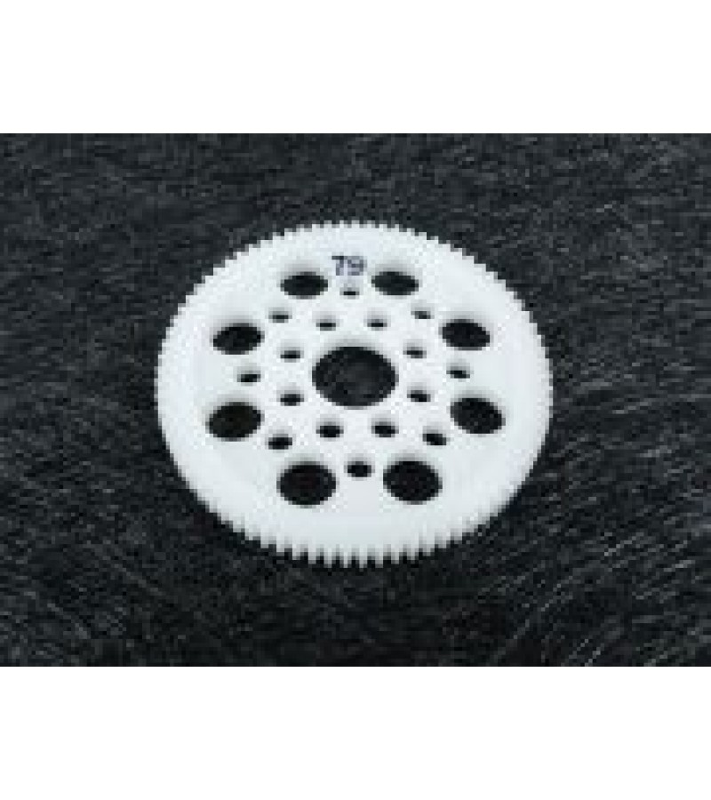 48 Pitch Spur Gear 79T