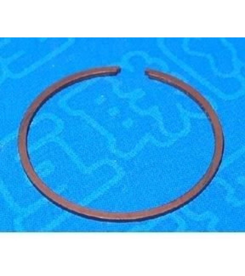 Piston Ring
