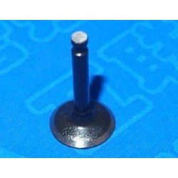 Intake Valve