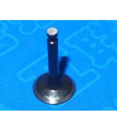 Intake Valve