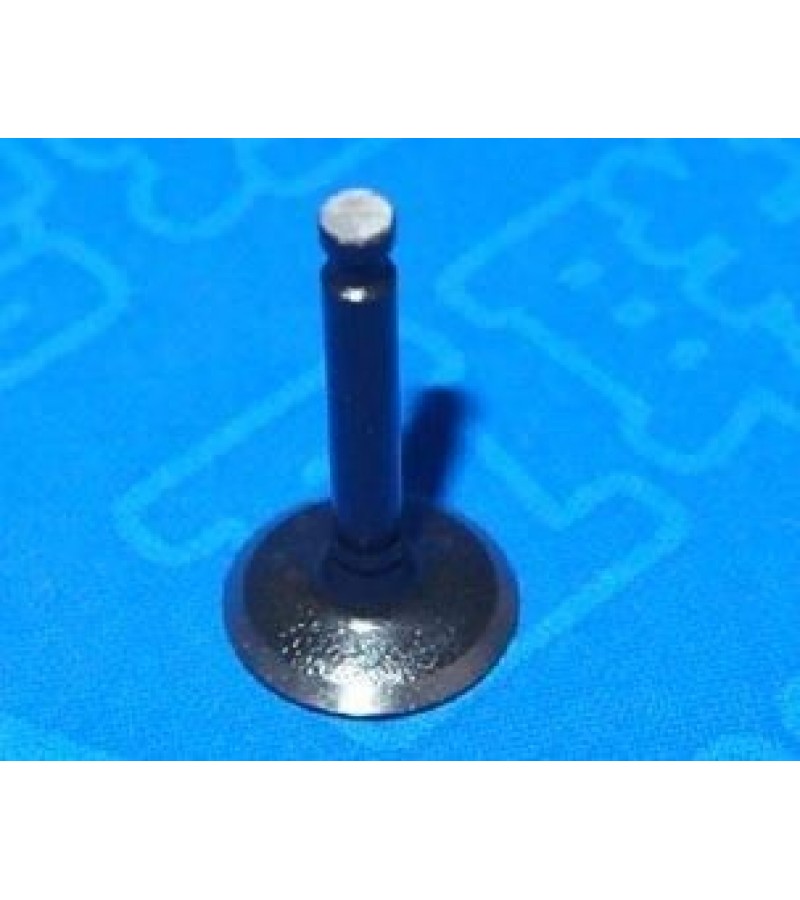 Intake Valve