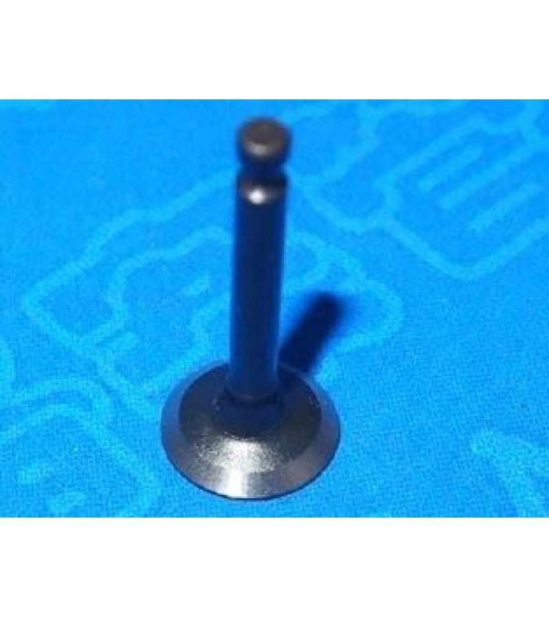 Exhaust Valve