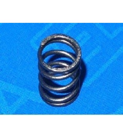 Valve Spring