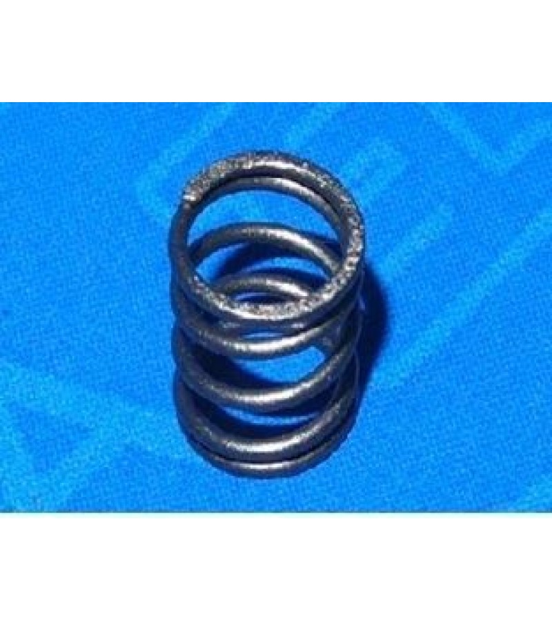 Valve Spring