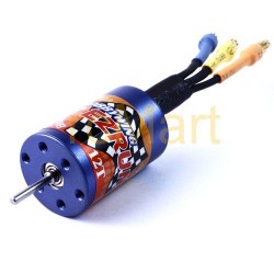 Hobbywing EZRUN12T/2030 Brushless motors for 1/18 1/24 Car