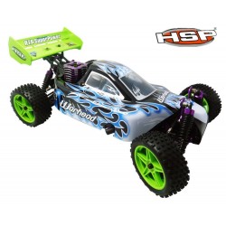 HSP  1/10th Scale Nitro Off Road Buggy-Two Speed  PRO